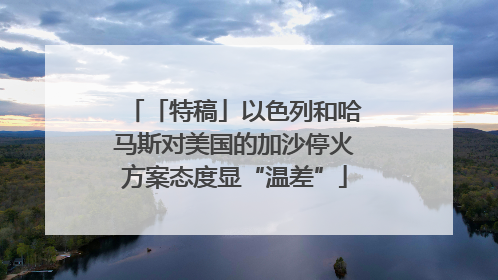 「特稿」以色列和哈马斯对美国的加沙停火方案态度显“温差”