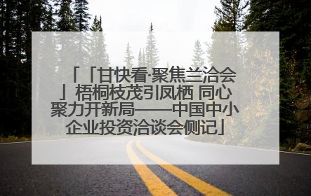 「甘快看·聚焦兰洽会」梧桐枝茂引凤栖 同心聚力开新局——中国中小企业投资洽谈会侧记