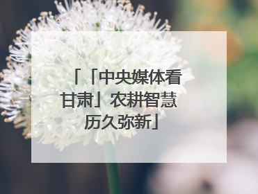 「中央媒体看甘肃」农耕智慧 历久弥新
