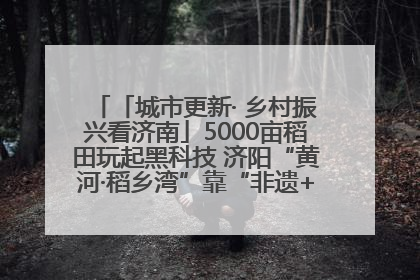 「城市更新· 乡村振兴看济南」5000亩稻田玩起黑科技 济阳“黄河·稻乡湾”靠“非遗+露营”火出圈