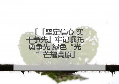 「坚定信心 实干争先」牢记嘱托勇争先 绿色“光”芒耀高原