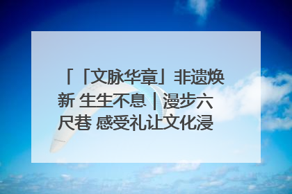 「文脉华章」非遗焕新 生生不息｜漫步六尺巷 感受礼让文化浸润的“巷”往生活