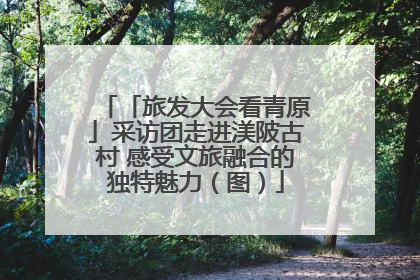 「旅发大会看青原」采访团走进渼陂古村 感受文旅融合的独特魅力（图）