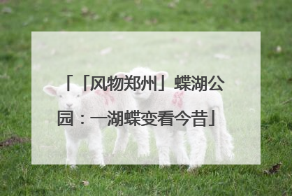 「风物郑州」蝶湖公园：一湖蝶变看今昔
