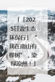 「2025甘肃生态环保行」“我在南山有棵树”，染绿凉州！