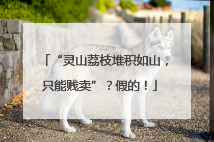 “灵山荔枝堆积如山，只能贱卖”？假的！