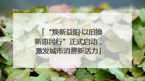 “焕新益阳·以旧换新惠民行”正式启动，激发城市消费新活力