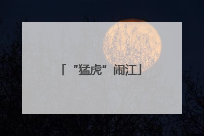“猛虎”闹江