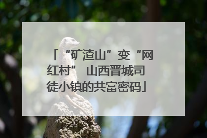 “矿渣山”变“网红村” 山西晋城司徒小镇的共富密码