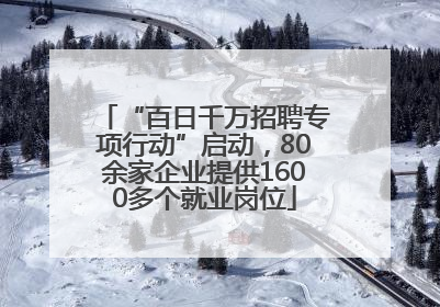 “百日千万招聘专项行动”启动，80余家企业提供1600多个就业岗位