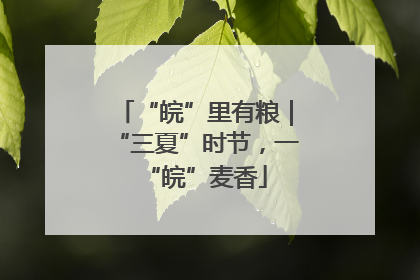 “皖”里有粮｜“三夏”时节，一“皖”麦香