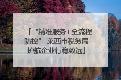“精准服务+全流程防控” 莱西市税务局护航企业行稳致远
