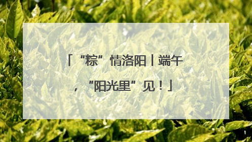 “粽”情洛阳丨端午，“阳光里”见！
