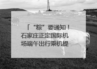 “粽”要通知！石家庄正定国际机场端午出行乘机提示，快来get