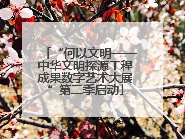 “何以文明——中华文明探源工程成果数字艺术大展”第二季启动