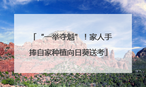 “一举夺魁”！家人手捧自家种植向日葵送考