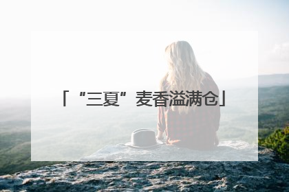 “三夏”麦香溢满仓