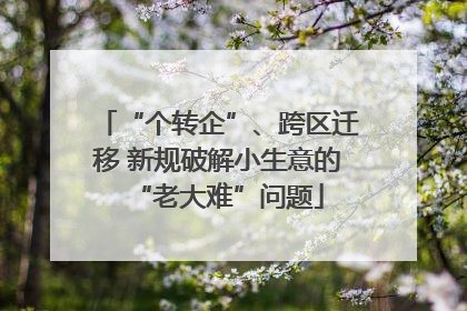 “个转企”、跨区迁移 新规破解小生意的“老大难”问题