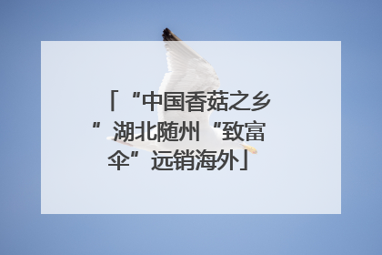 “中国香菇之乡”湖北随州“致富伞”远销海外