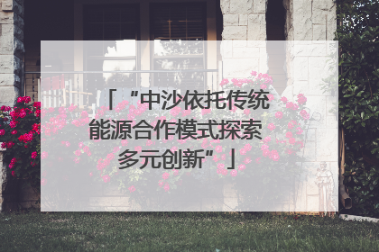 “中沙依托传统能源合作模式探索多元创新”