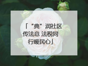 “典”润社区传法意 法税同行暖民心