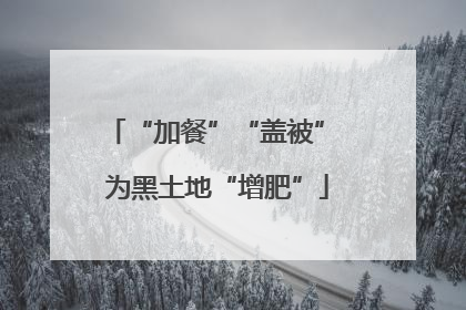 “加餐”“盖被” 为黑土地“增肥”