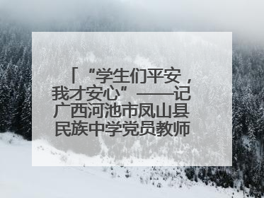“学生们平安，我才安心”——记广西河池市凤山县民族中学党员教师汤冬萍