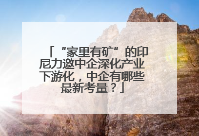“家里有矿”的印尼力邀中企深化产业下游化，中企有哪些最新考量？
