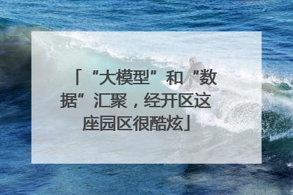 “大模型”和“数据”汇聚，经开区这座园区很酷炫