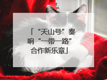 “天山号”奏响“一带一路”合作新乐章