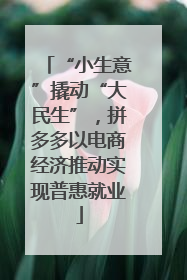 “小生意”撬动“大民生”，拼多多以电商经济推动实现普惠就业