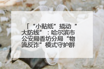 “小贴纸”撬动“大防线”：哈尔滨市公安局香坊分局“物流反诈”模式守护群众“钱袋子”