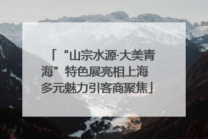 “山宗水源·大美青海”特色展亮相上海 多元魅力引客商聚焦