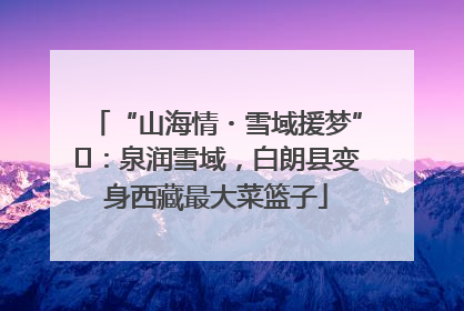 “山海情・雪域援梦”⑪：泉润雪域，白朗县变身西藏最大菜篮子