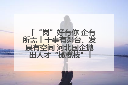 “岗”好有你 企有所需丨干事有舞台、发展有空间 河北国企抛出人才“橄榄枝”