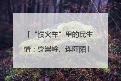 “慢火车”里的民生情：穿崇岭、连阡陌