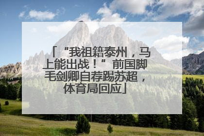 “我祖籍泰州，马上能出战！”前国脚毛剑卿自荐踢苏超，体育局回应