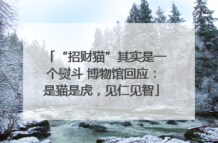 “招财猫”其实是一个熨斗 博物馆回应：是猫是虎，见仁见智