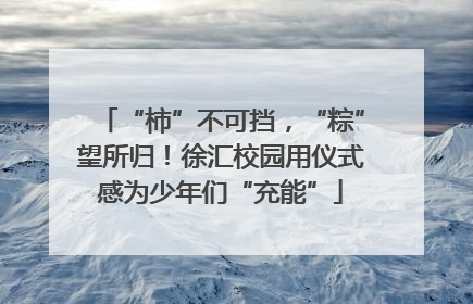 “柿”不可挡，“粽”望所归！徐汇校园用仪式感为少年们“充能”