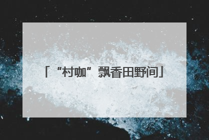 “村咖”飘香田野间