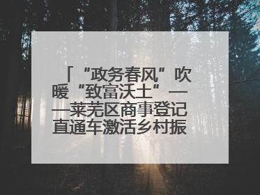 “政务春风”吹暖“致富沃土”——莱芜区商事登记直通车激活乡村振兴“一池春水”