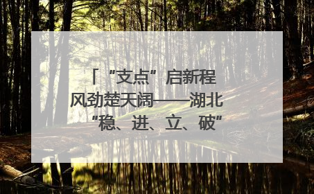 “支点”启新程 风劲楚天阔——湖北“稳、进、立、破”谱写“荆”彩篇章