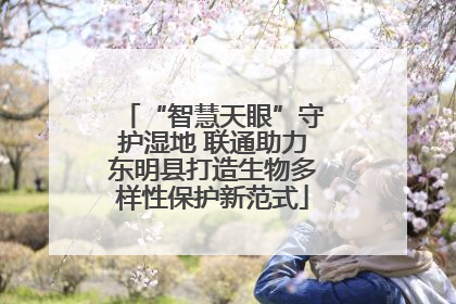 “智慧天眼”守护湿地 联通助力东明县打造生物多样性保护新范式