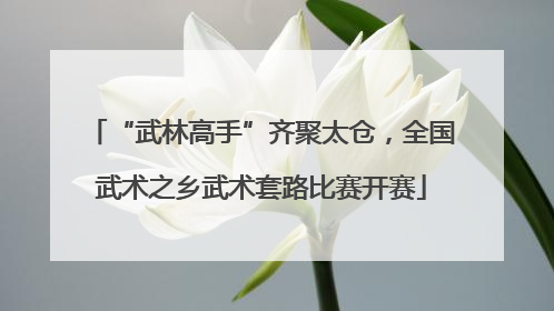 “武林高手”齐聚太仓，全国武术之乡武术套路比赛开赛
