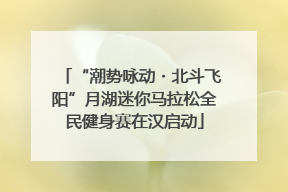 “潮势咏动・北斗飞阳”月湖迷你马拉松全民健身赛在汉启动