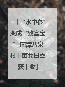 “水中参”变成“致富宝” 南漳八泉村千亩茭白喜获丰收