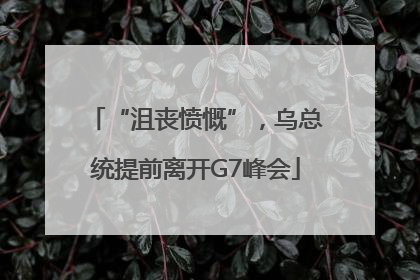 “沮丧愤慨”，乌总统提前离开G7峰会