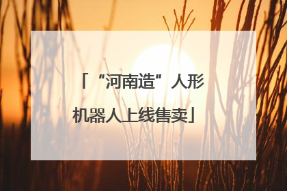 “河南造”人形机器人上线售卖