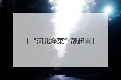 “河北净菜”靓起来