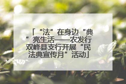 “法”在身边“典”亮生活——农发行双峰县支行开展“民法典宣传月”活动